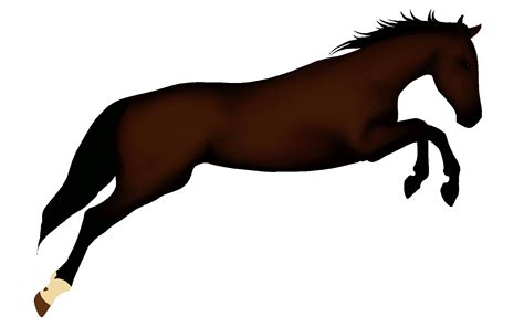 horse animated gif|Horse Animation GIFs .